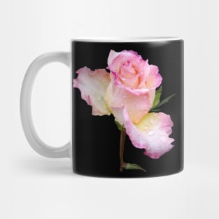 pink rose with the first raindrops of the day Mug